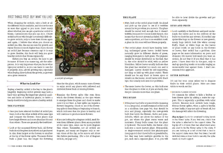 Garden care magazine page with text and a photo of a garden scene.