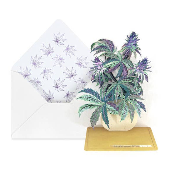 A 3D pop-up greeting card featuring a potted cannabis plant with purple and green leaves, shown next to its white envelope with purple leaf patterns on a white background.