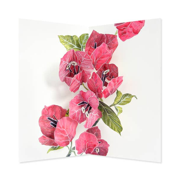 A botanical pop up card featuring vibrant pink bougainvillea flowers with green leaves on a clean white background.