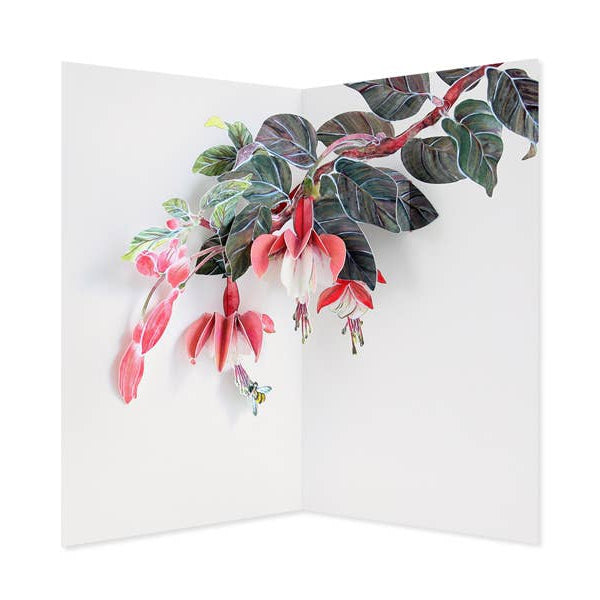 Floral design pop up card on a white background