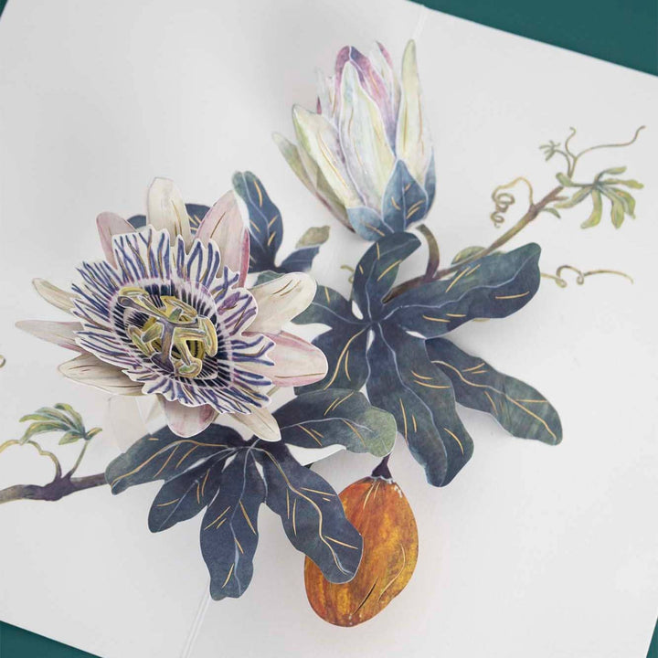 A close-up of a botanical illustration or printed floral design on a white background, featuring layered flowers with cream, lavender, and purple tones, dark blue-green leaves with gold vein details, and an orange-brown oval fruit.