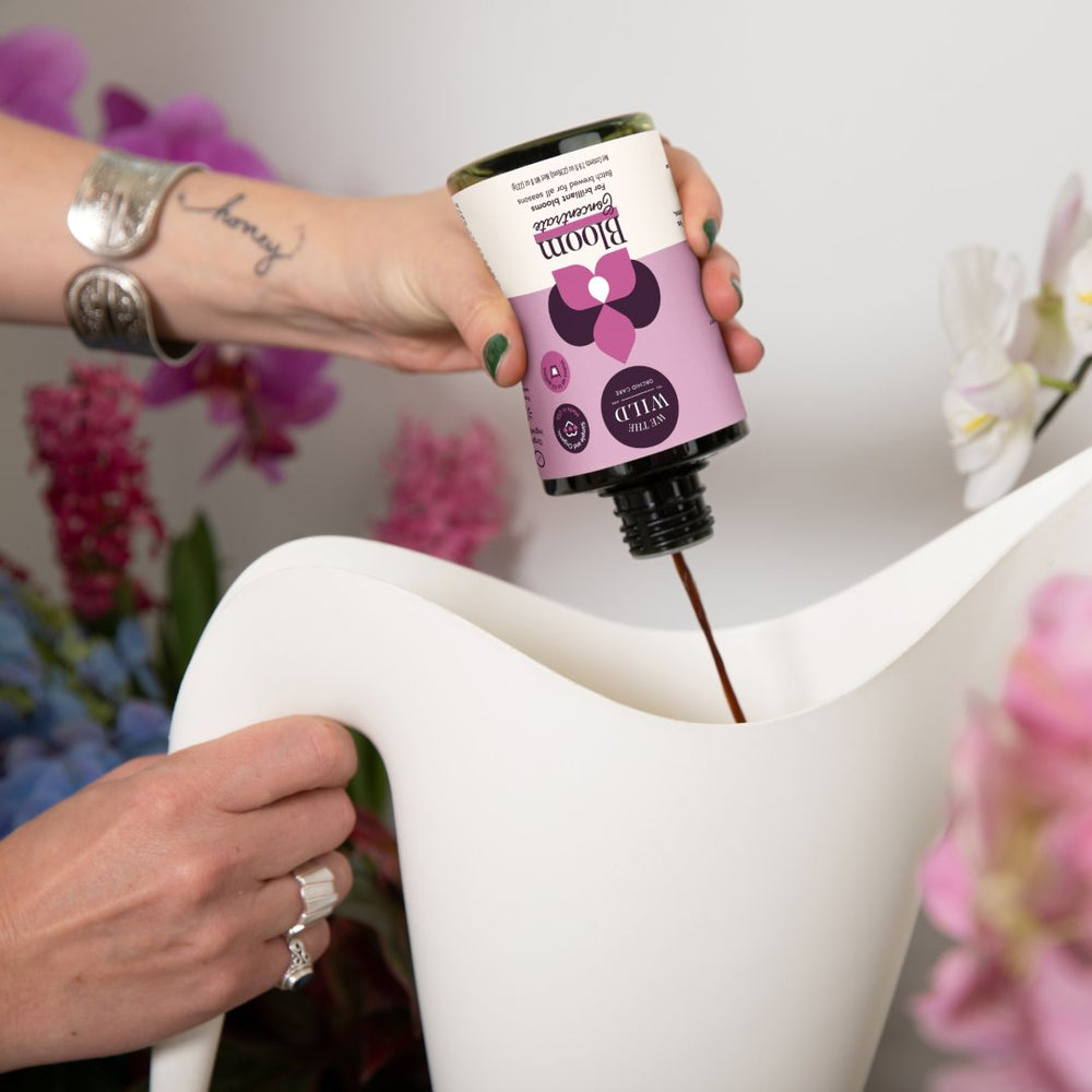We The Wild | Bloom Concentrate | bottle being poured into a watering can.
