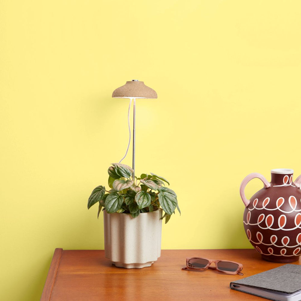 We The Wild | Plant Grow Lamp in a potted plant.
