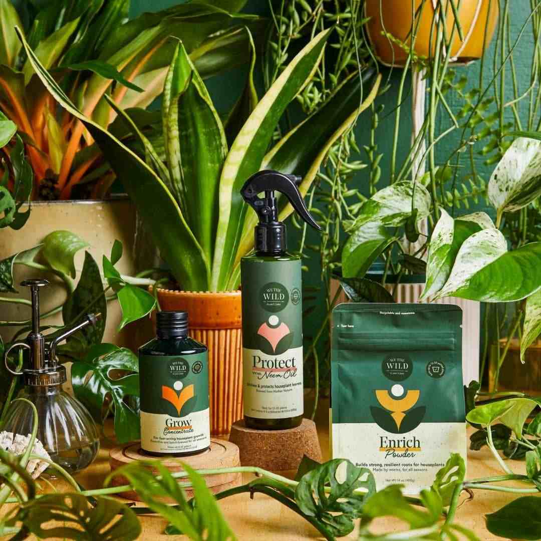 We The Wild | Houseplant Essentials Kit. Grow concentrate, Protect neem oil, enrich powder.