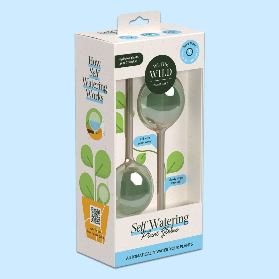 We The Wild | Self watering plant globes | Self-watering plant globes in packaging with brand 'We the Wild' on a light blue background