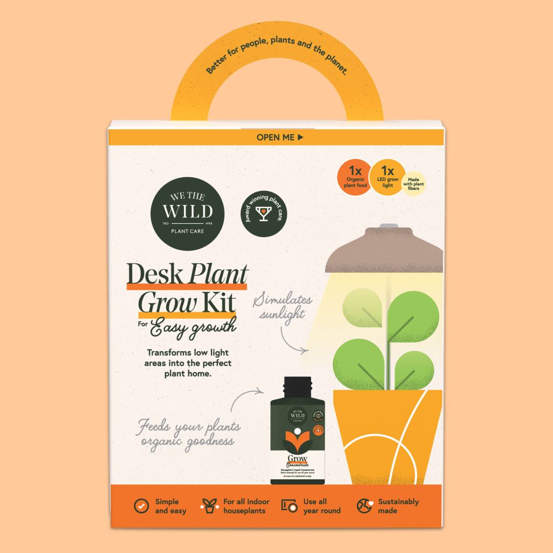We The Wild | Desk Plant Grow Kit packaging on a peach background