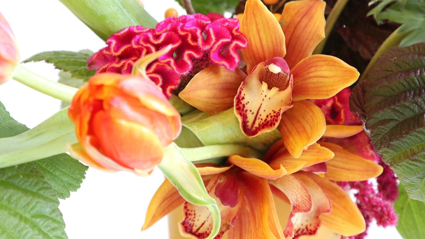 Close up image of orchids and tulips 