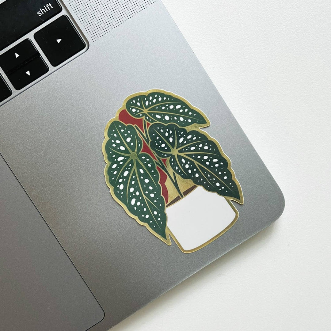 Begonia sticker | A green, red, gold, and white sticker on a silver laptop.