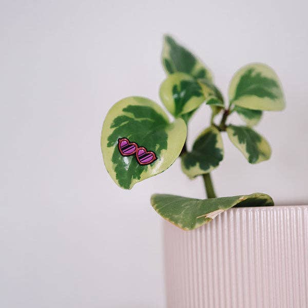 Eufolia | Eyecons 4-Pack - 🌱 Plant Magnet 🧲