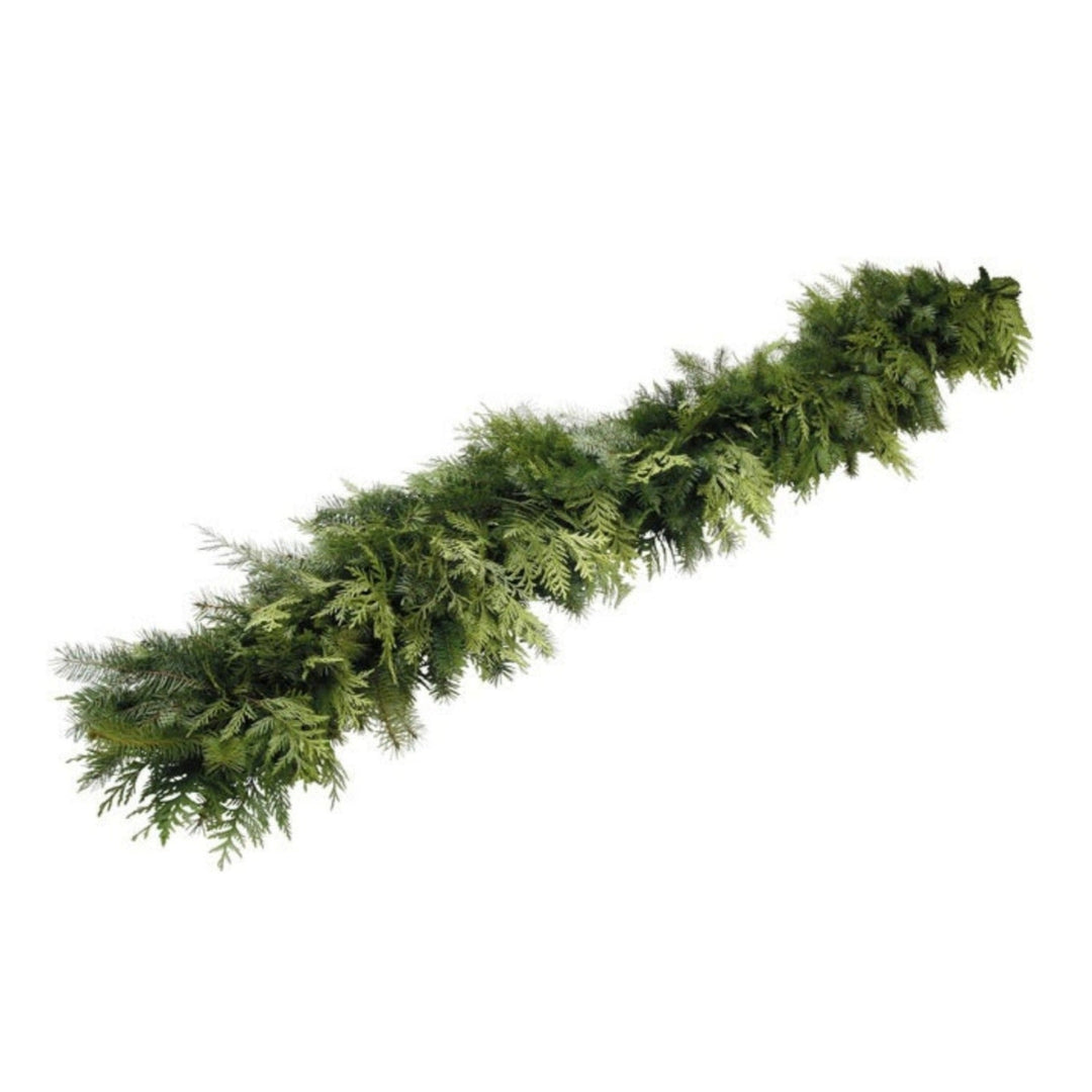 Evergreen garland cedar douglas