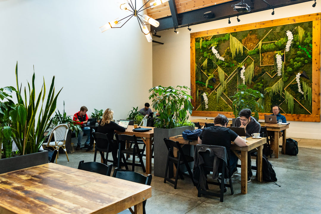 wide view of courtyard with people sitting in cafe setting with a living greenery wall. 