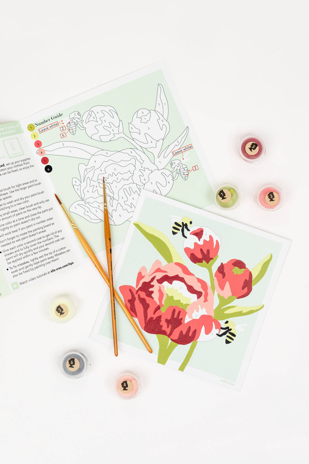 She Creates | Peonies MINI Paint-by-Number Kit