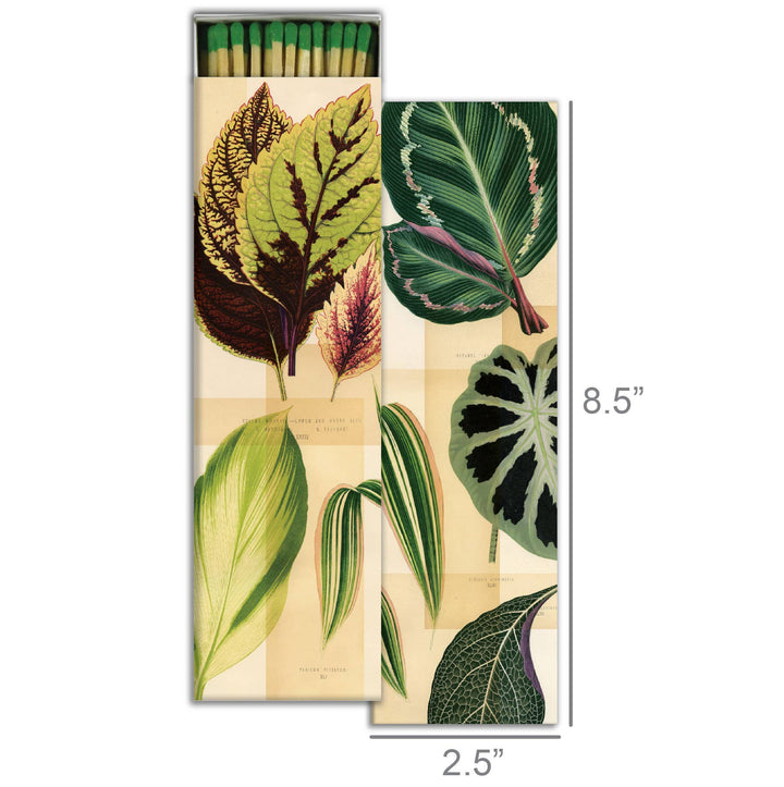 HomArt | Matches - Garden Foliage