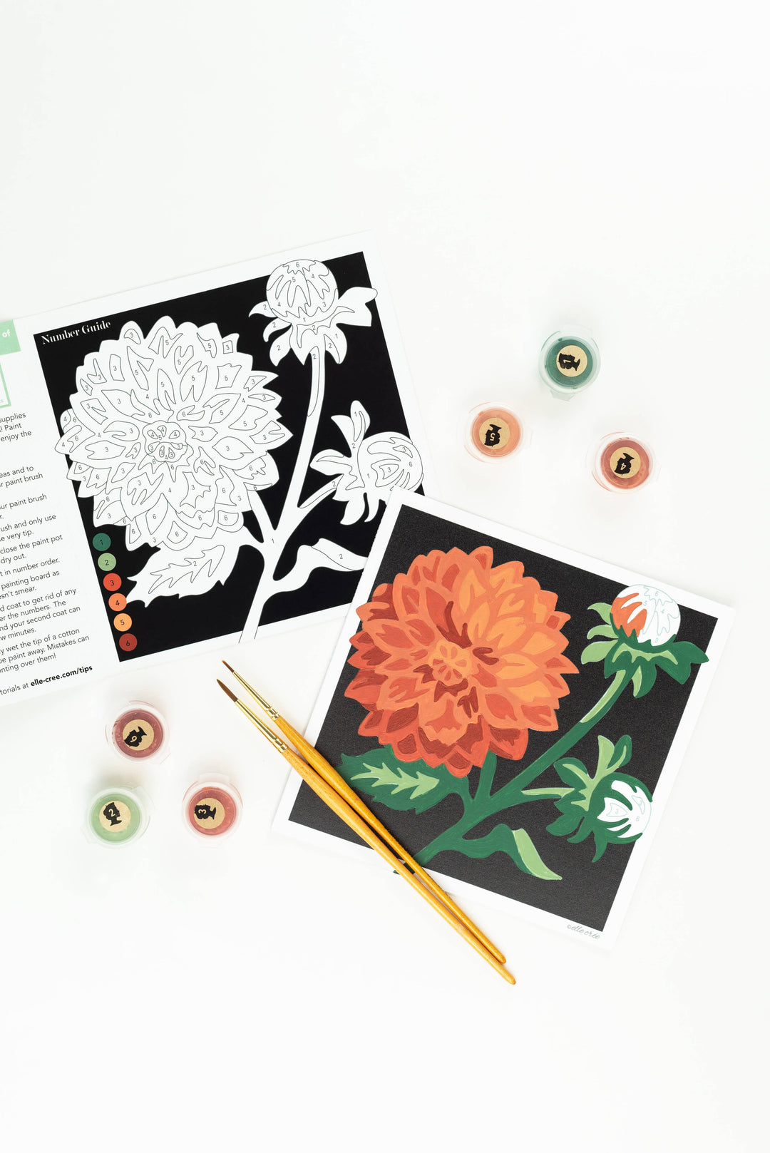 She Creates | Dahlias MINI Paint-by-Number Kit