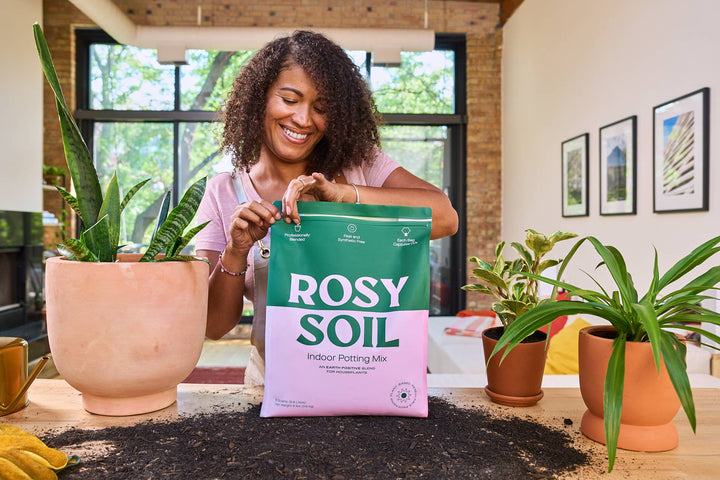 8qt Organic potting soil mix, indoor, houseplant & herbs | Rosy Soil