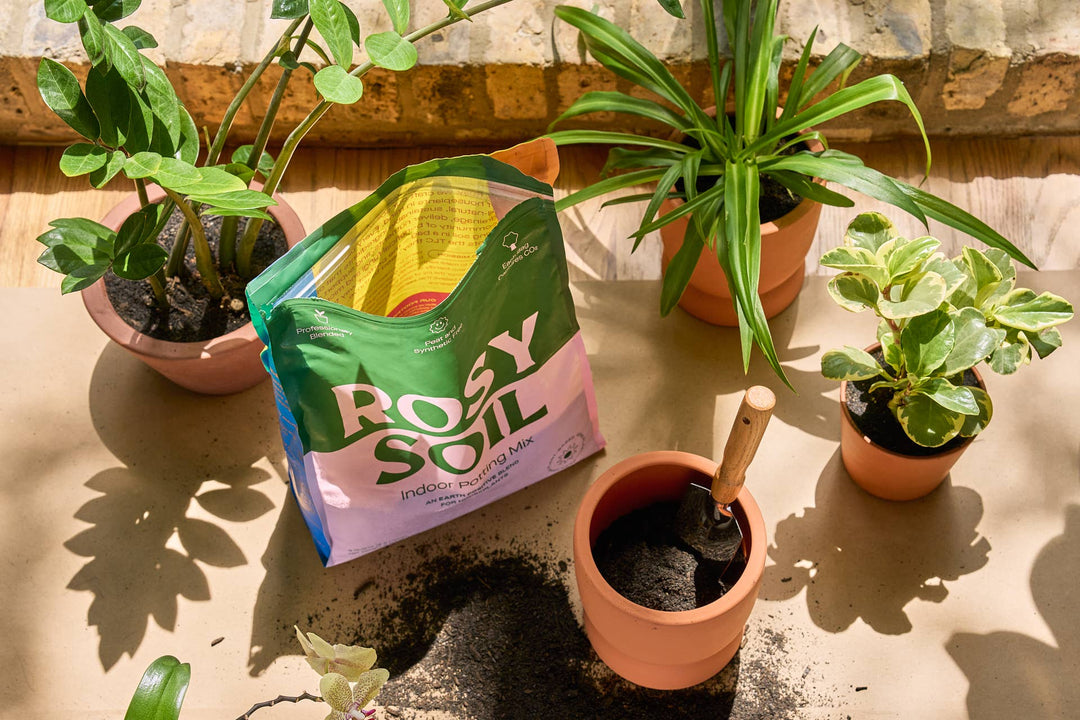 8qt Organic potting soil mix, indoor, houseplant & herbs | Rosy Soil