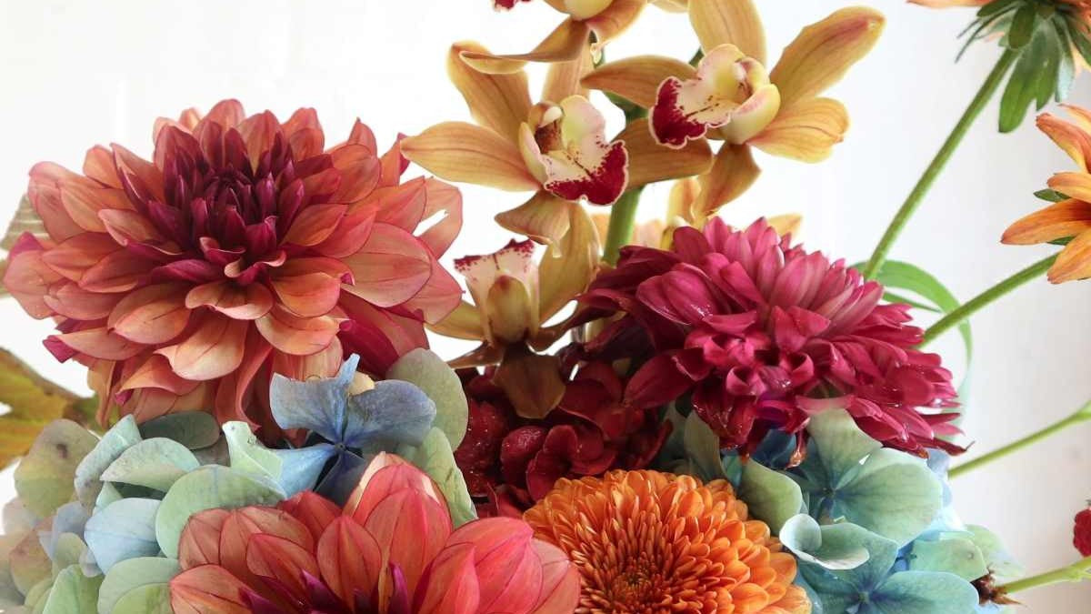 close up shot of dahlias orchids and hydrangea for the Stacy K Floral header slide 