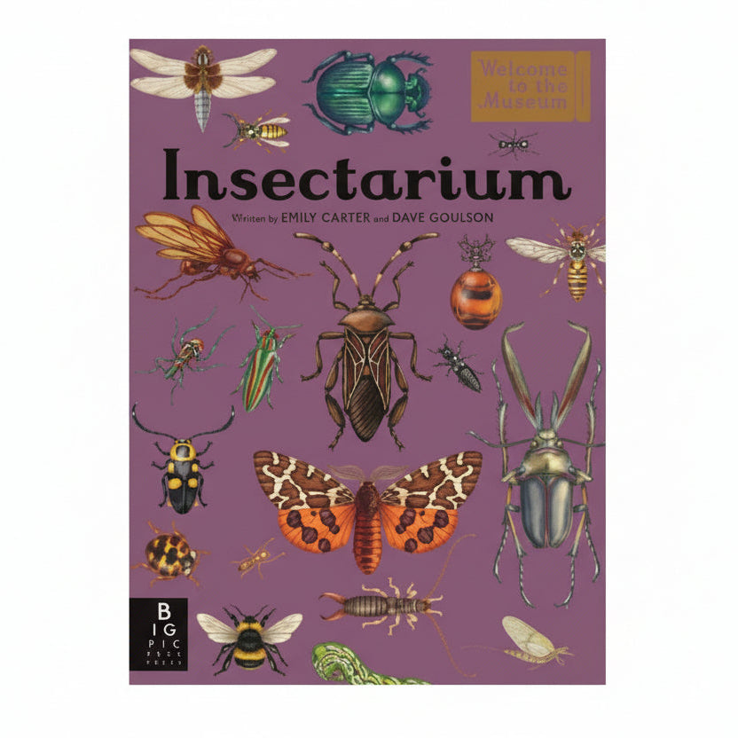 Book cover of 'Insectarium' with illustrations of insects on a purple background