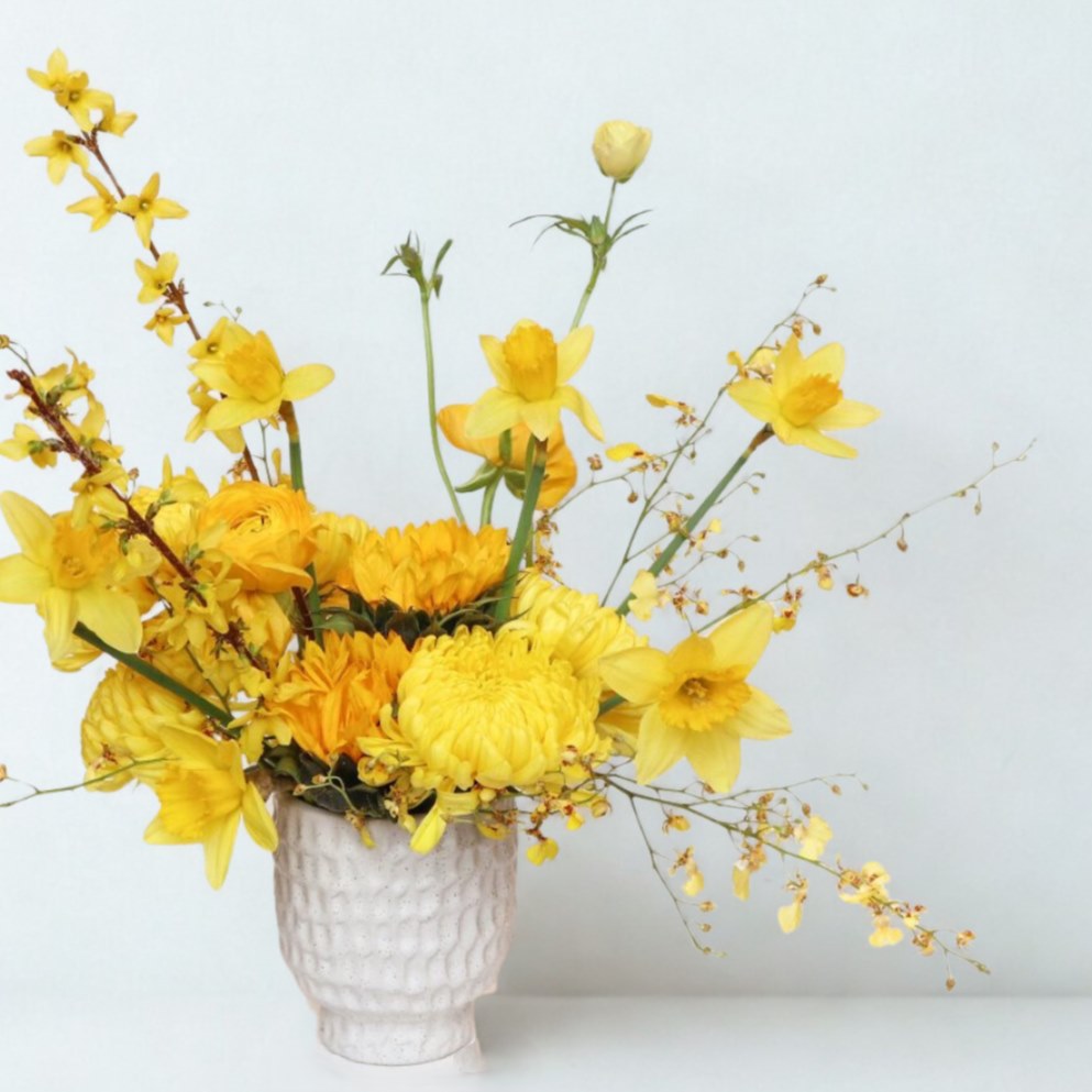 Bright yellow spring flower arrangement with daffodils, ranunculus, mums, and forsythia in a white ceramic vase by Rochester NY florist