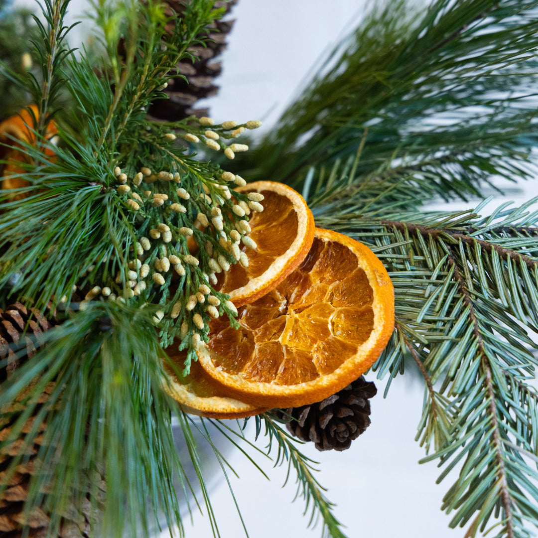 Dried oranges and pine cones on a branch with a light background