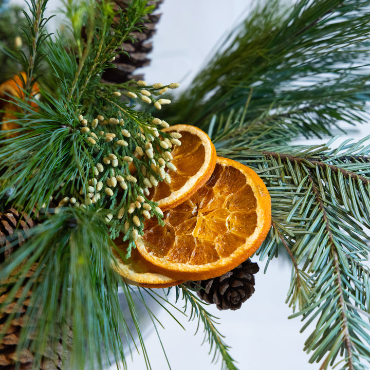 Dried oranges and pine cones on a branch with a light background