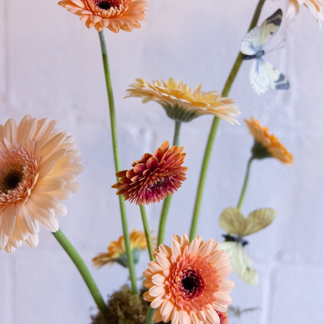 Colorful flowers with butterfly decorations
