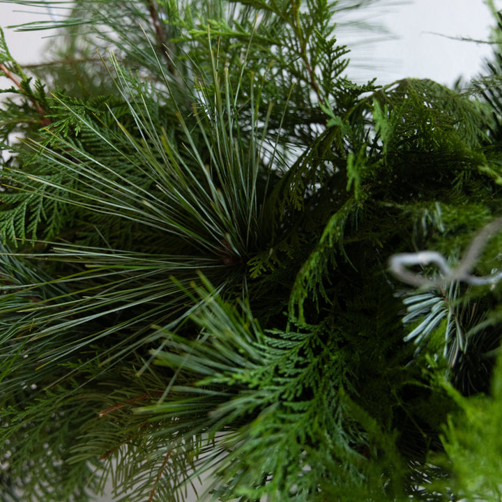Close-up of green pine needles with a blurred background