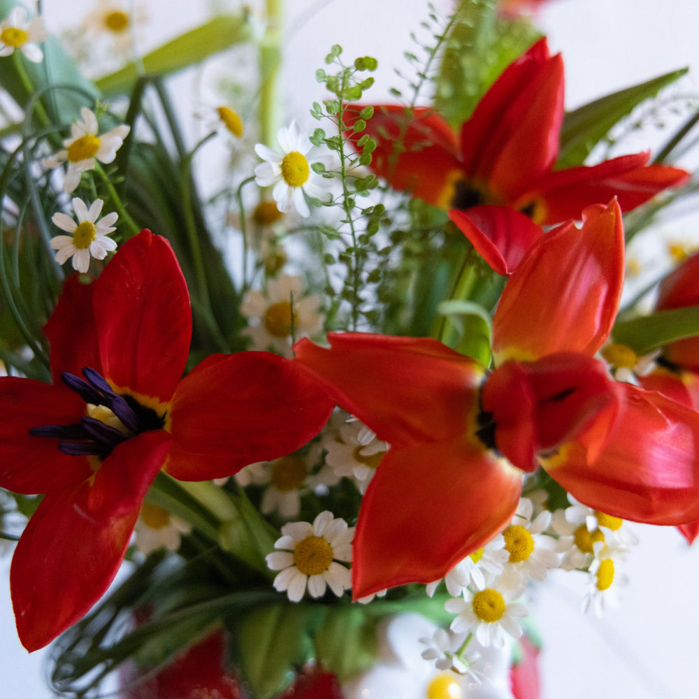 Bouquet of red tulips and white daisies