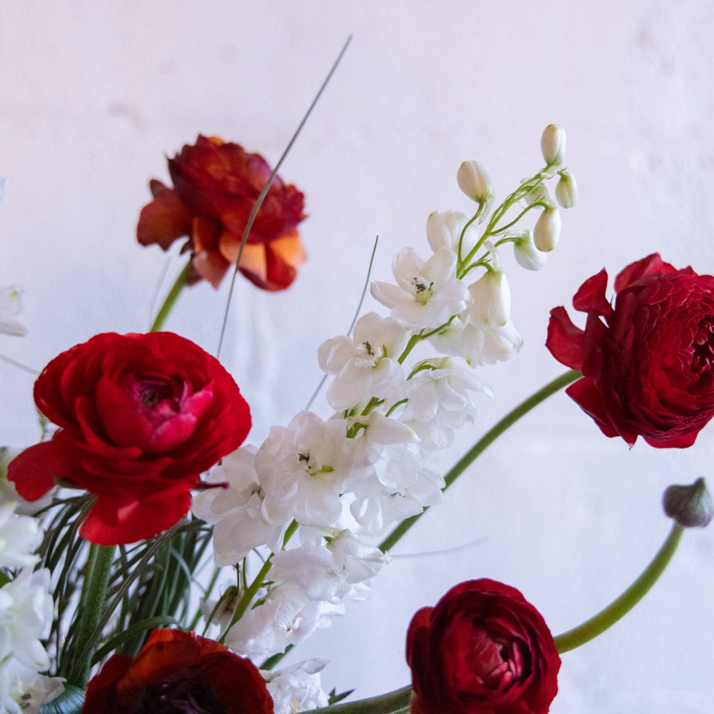Red and white flowers