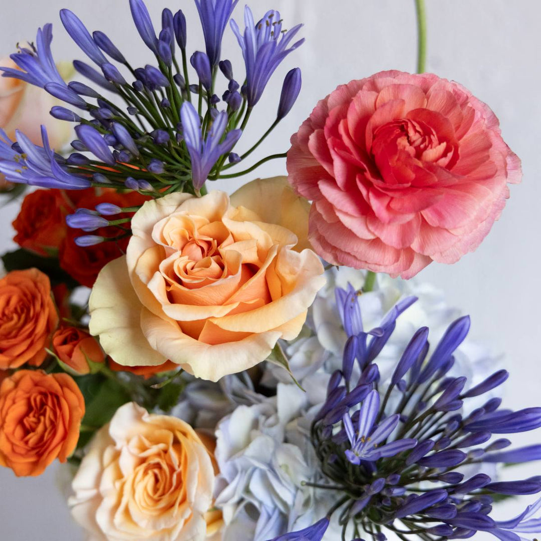 Bouquet of colorful flowers including roses and agapanthus on a light background