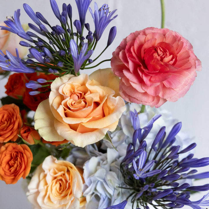 Bouquet of colorful flowers including roses and agapanthus on a light background