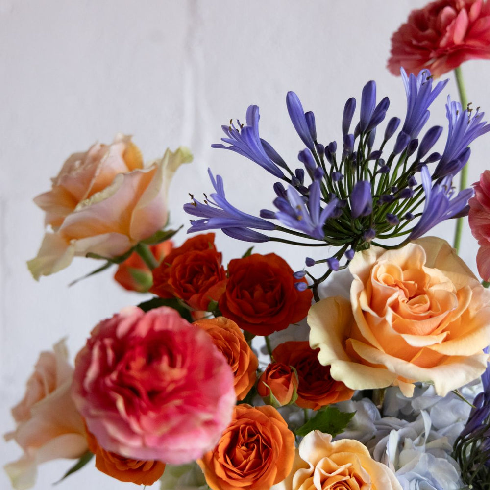 A vibrant close-up of mixed garden roses in peach, pink, and orange tones with dramatic purple agapanthus and powder blue hydrangea in a lush floral arrangement