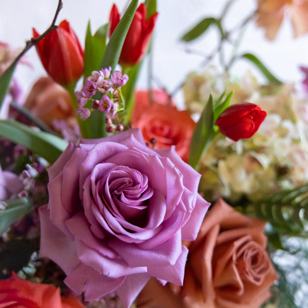 Botanical Brushstroke Arrangement