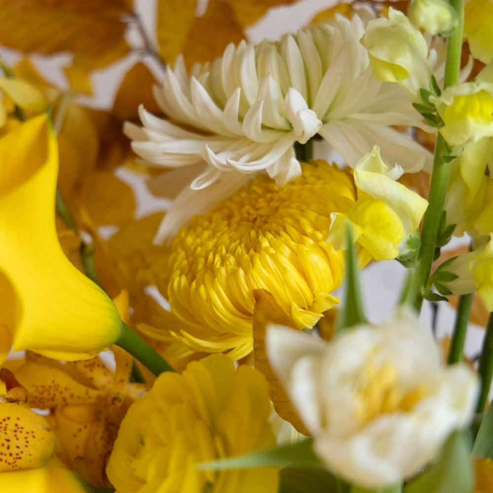 detailed shot of yellow and white mums