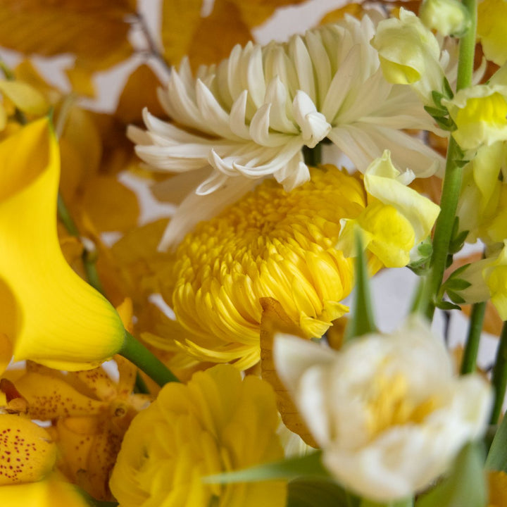 detailed shot of yellow and white mums