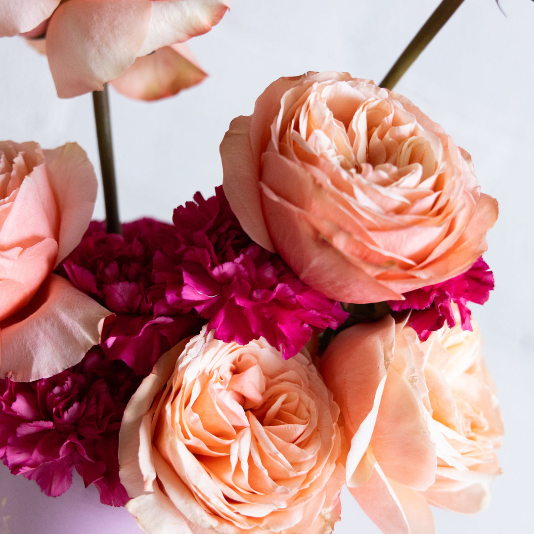 Close-up of pink and red flowers with a blurred background