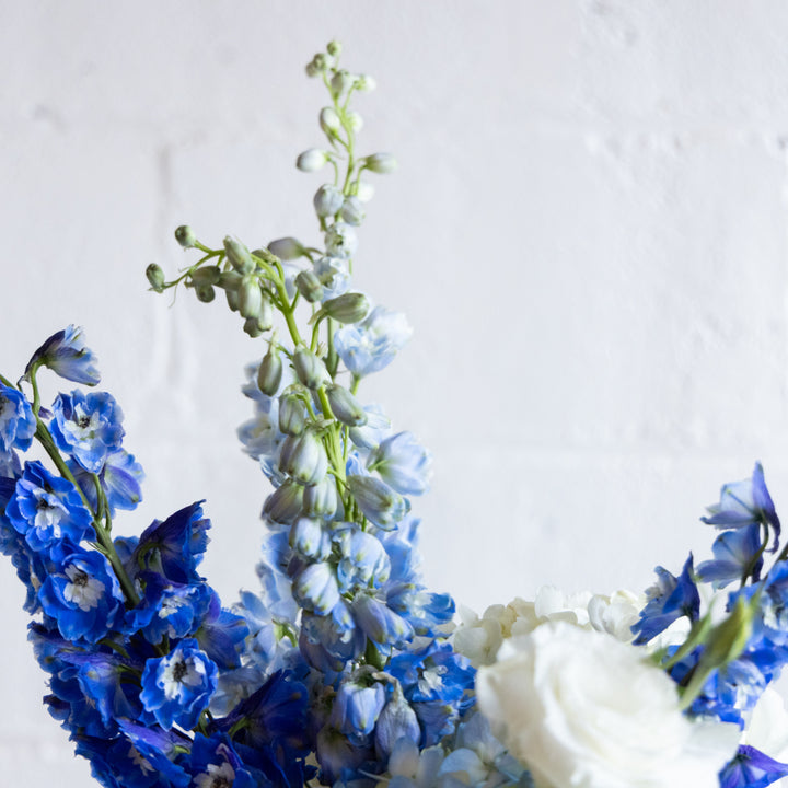 Blue and white flowers against a light gray background