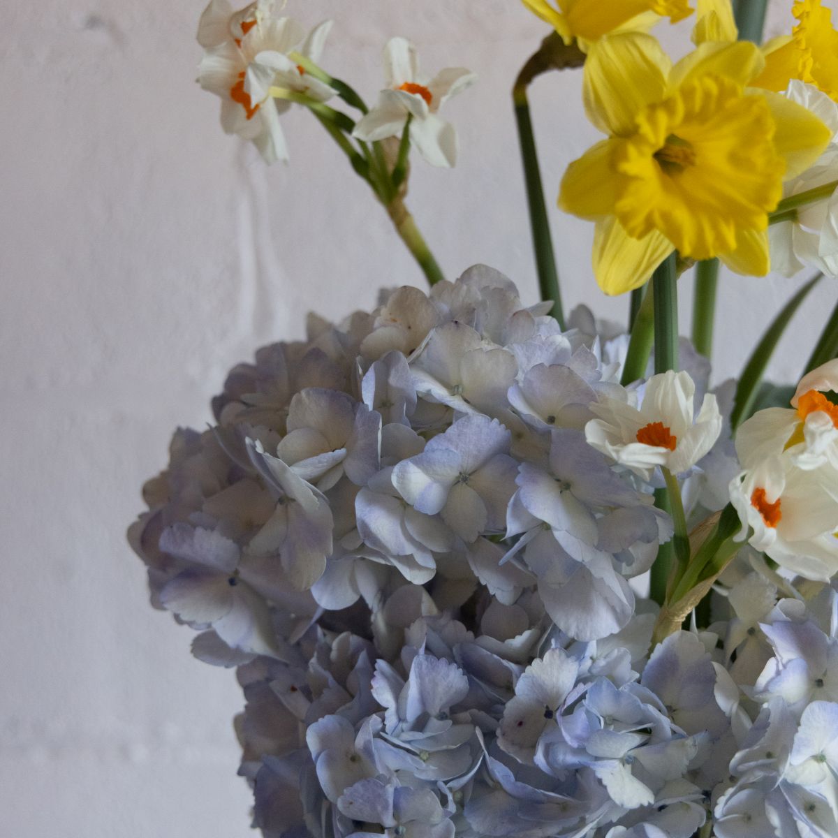 springflower様 Spring Skies Fresh Floral Arrangement | Same Day Delivery