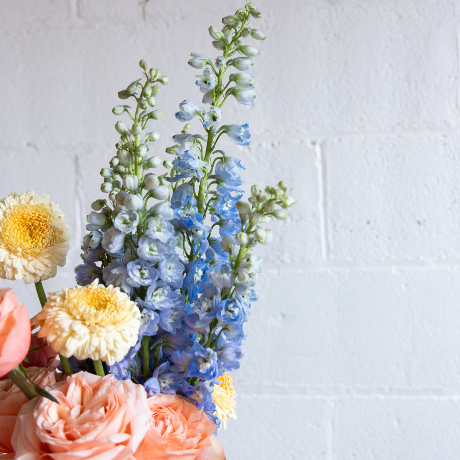Floral arrangement with blue delphinium, yellow and pink flowers against a white textured wall.