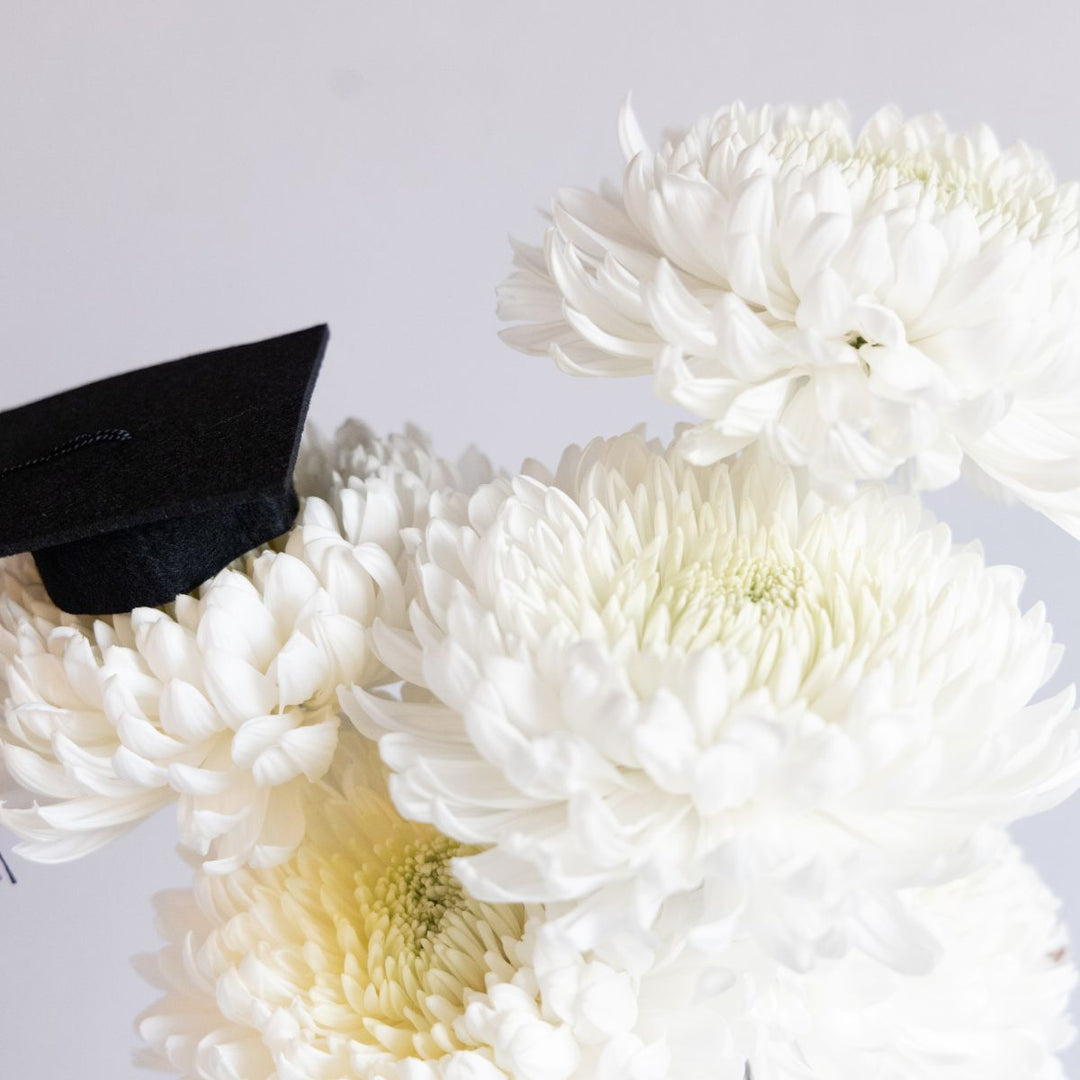 White flowers with a black graduation cap on a light gray background