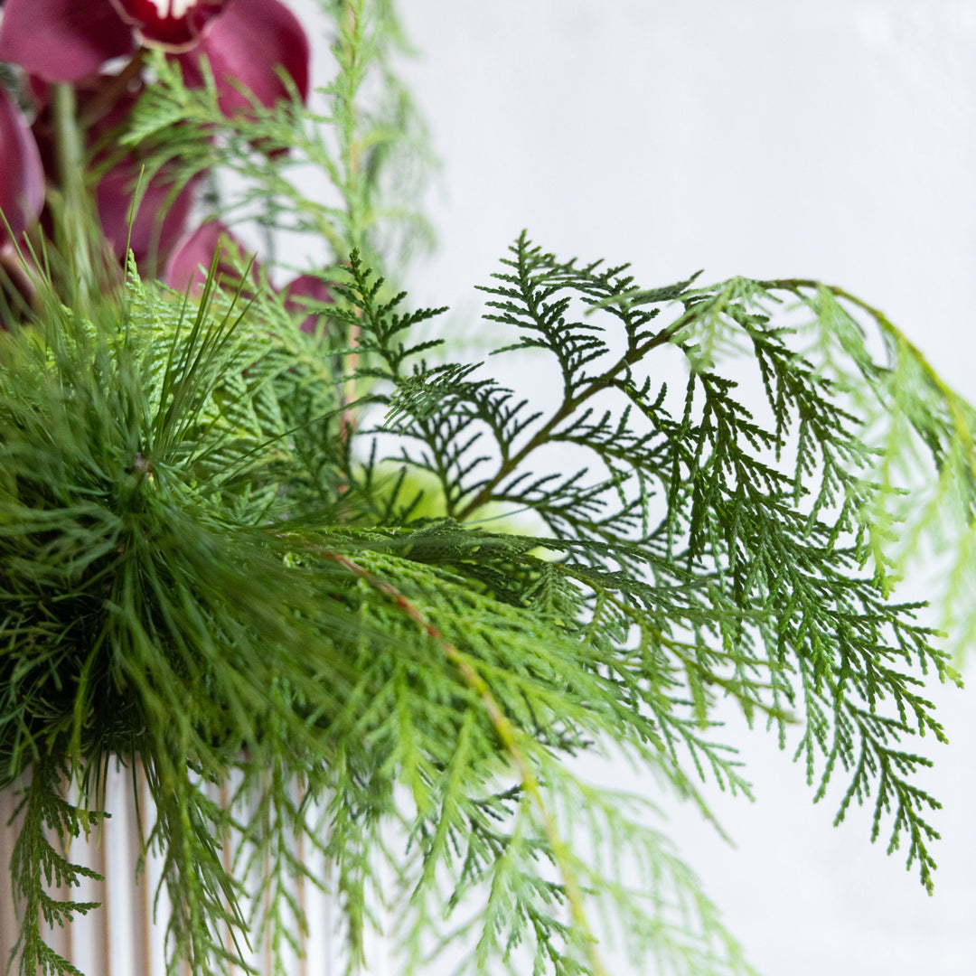 Close-up of green foliage with a blurred background