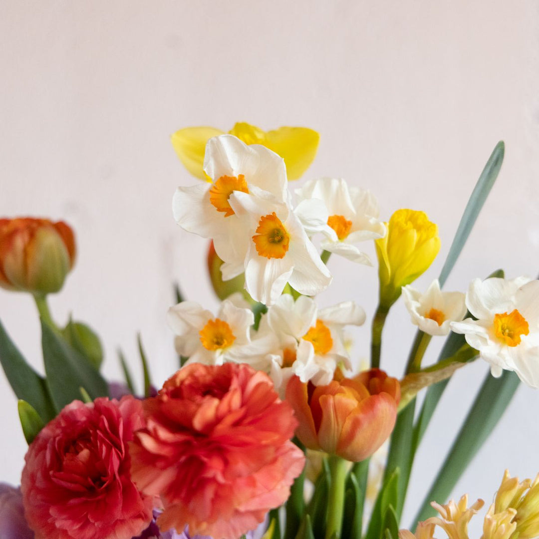 Bouquet of colorful flowers including tulips and narcissus on a light background