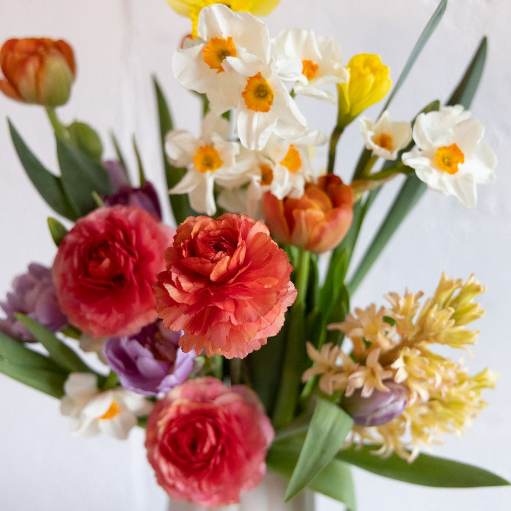 Bouquet of colorful flowers including tulips, roses, and daffodils on a light background