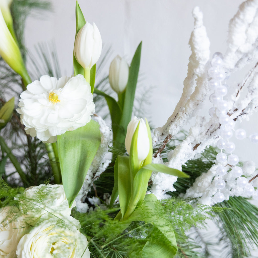 Close-up of white flowers with green leaves against a textured white background