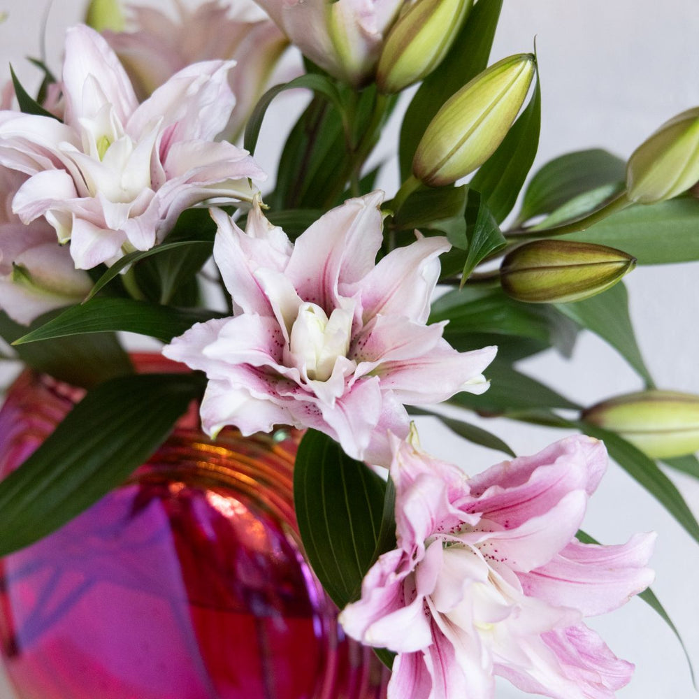 Pink lilies in a colorful vase against a light background
