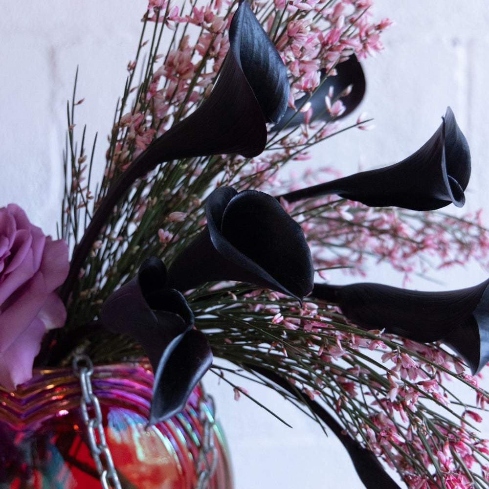 Black calla lilies and pink flowers in a vase