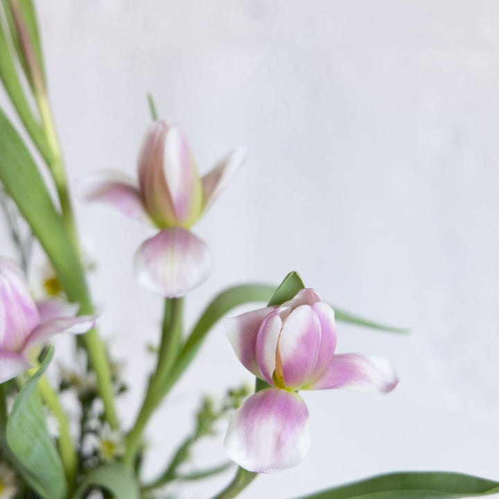 Pink and white tulips with green leaves on a light gray background