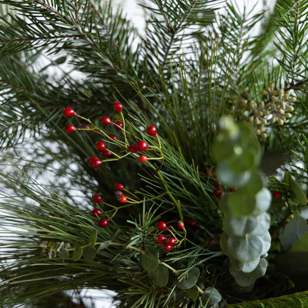 Close-up of green foliage with red berries and white flowers.