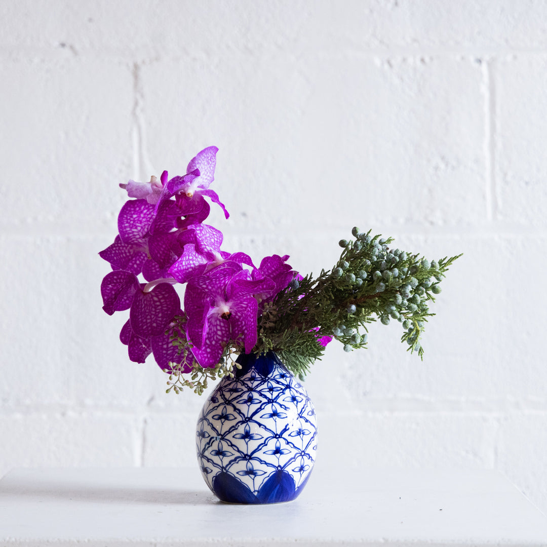 Purple orchids in a blue and white patterned vase against a white background