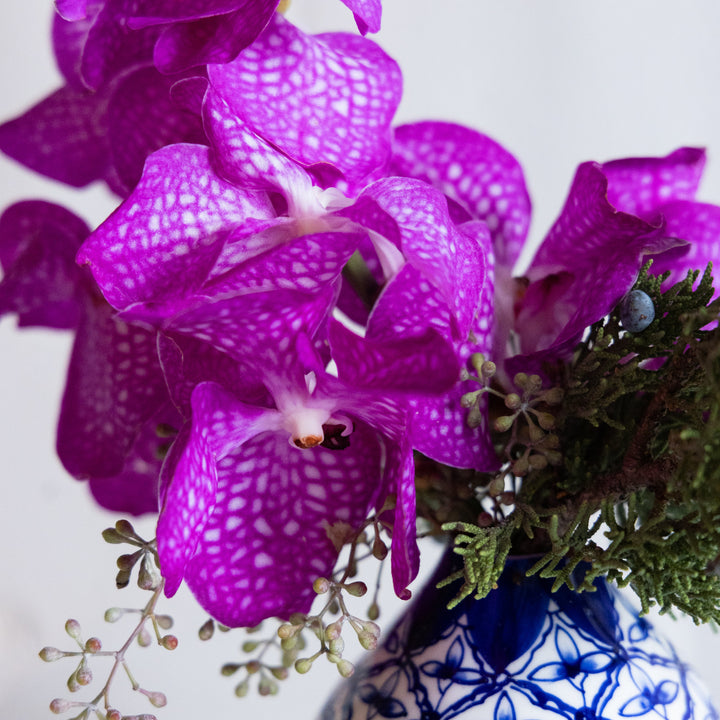 Close-up of purple orchids with a blue and white patterned vase.
